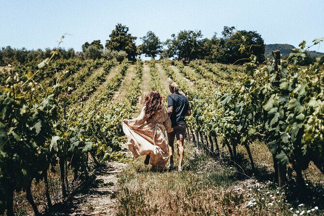 Provence Wine Tour - Small Group Tour from Cannes - Domaine des Féraud: Organic Wines With Medal-Winning Confidence