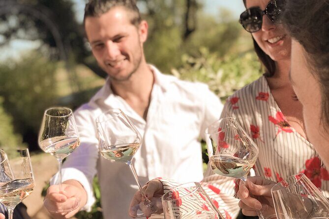 Provence Wine Tour - Small Group Tour from Cannes - What You’ll Drink: Around 15 Wines, With Real Guidance