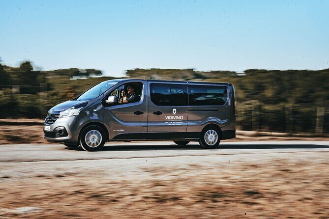Provence Wine Tour - Small Group Tour from Nice - Three estates and about 15 wines: how you’ll actually experience Provençal variety