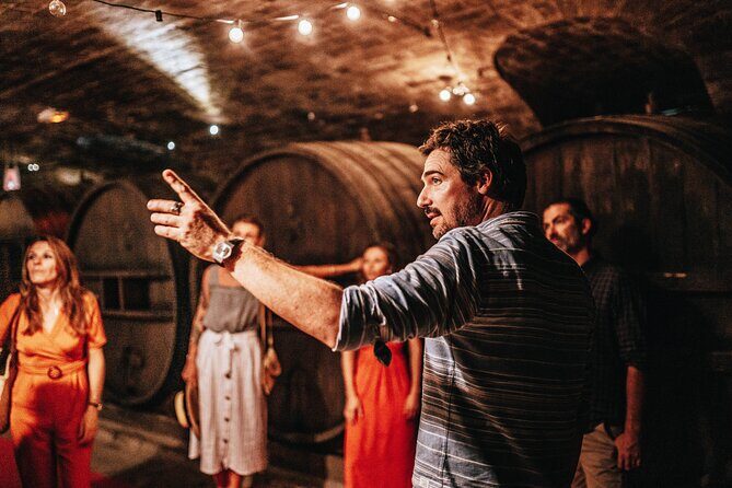 Provence Wine Tour - Small Group Tour from Nice - The guides: what you should expect when the group stays small