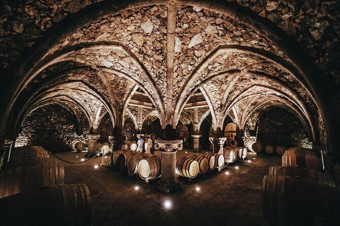 Provence Wine Tour - Small Group Tour from Nice - The real value: why this is priced like a premium small-group wine day