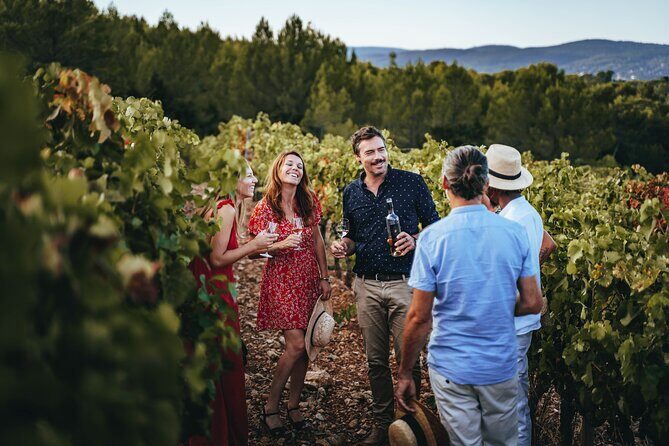 Provence Wine Tour - Small Group Tour from Nice - Who this Provence wine tour is best for (and who should skip)