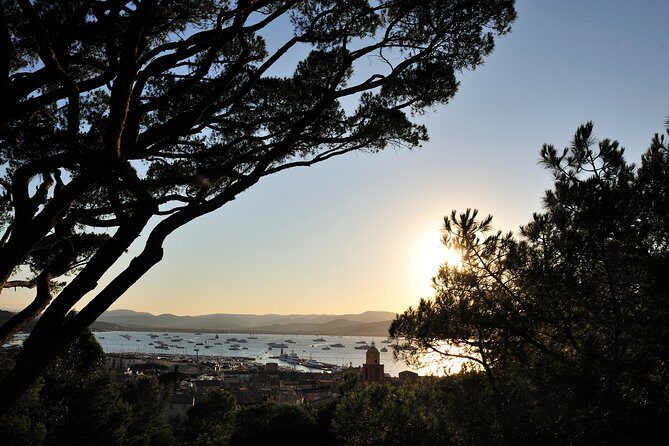 Saint-Tropez and Port Grimaud Day from Nice Small-Group Tour - Guide quality matters more than you think