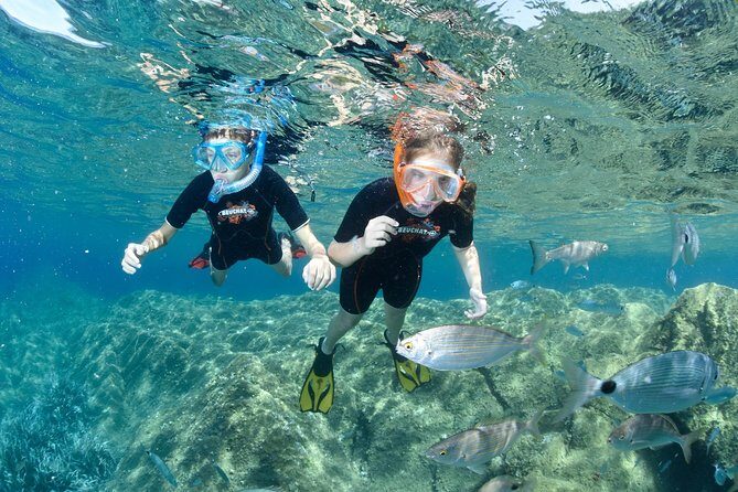 Snorkeling - By boat on site in the Bay of Cannes or Estérel - Cannes Snorkeling by Boat: What Your 4 Hours Really Feel Like