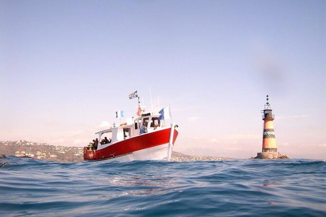 Snorkeling - By boat on site in the Bay of Cannes or Estérel - The Boat Ride Experience: Cozy, Scenic, and Sometimes Rough