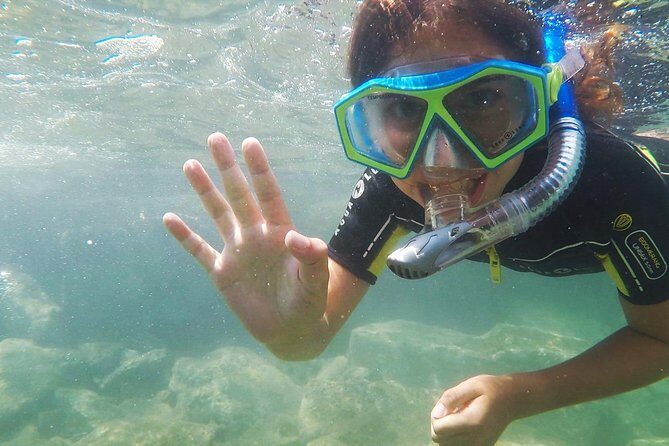 Snorkeling - By boat on site in the Bay of Cannes or Estérel - Price and Value: Is $52.98 Worth It?