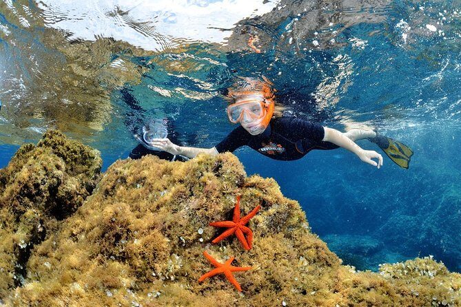 Snorkeling - By boat on site in the Bay of Cannes or Estérel - Meeting at Port de la Rague and Getting Your Gear Fast