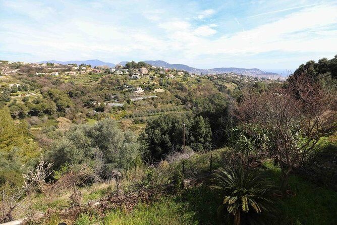 Viator Exclusive: Local Cooking Class & Dinner with View of Nice - Should you book this Nice local cooking class dinner?