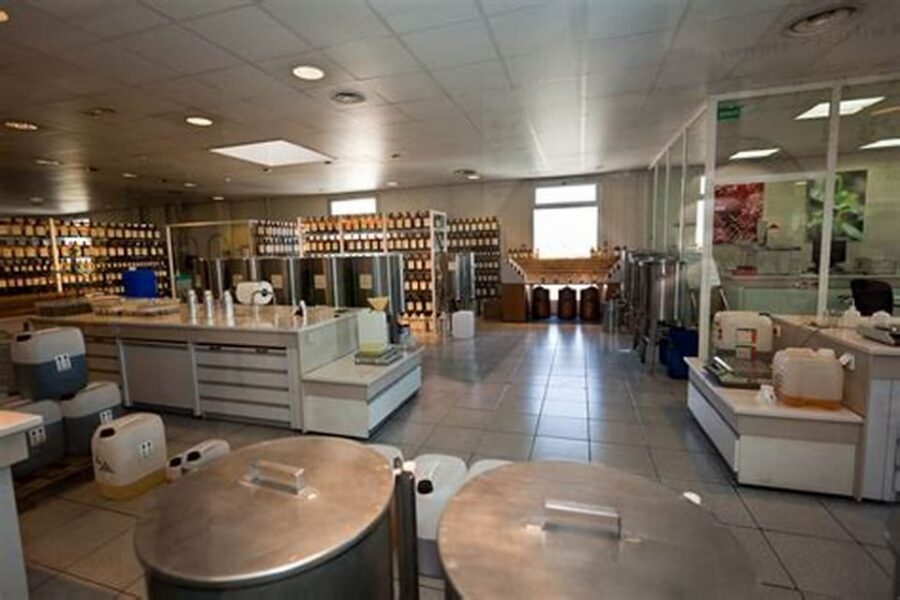 Ville Franche: Private 5-Hour Sightseeing Tour - Fragonard Perfumery: How the Senses Get Their Turn