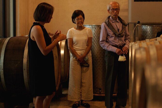 Vineyard Tour with Wine Tasting within Nice city borders - Your guide in English: the difference between hearing and understanding