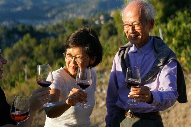 Vineyard Tour with Wine Tasting within Nice city borders - Timing and pacing: why 90 minutes can still feel like a full experience