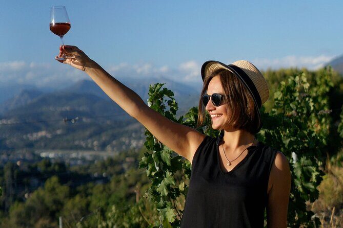 Vineyard Tour with Wine Tasting within Nice city borders - Price and value: what $39.91 gets you in Nice