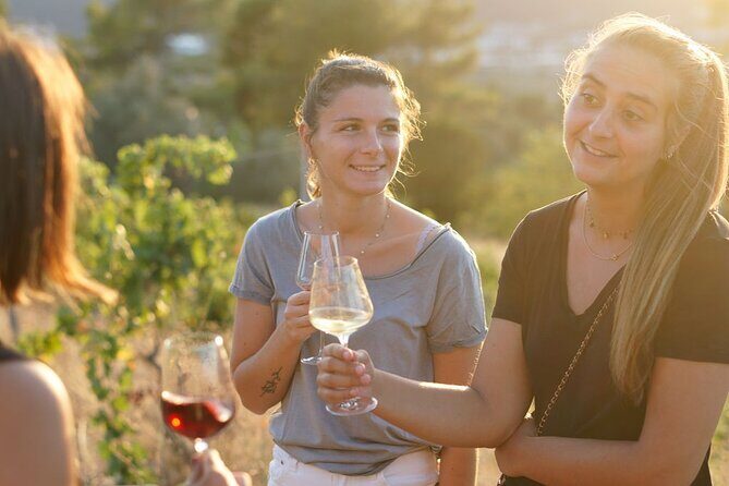 Vineyard Tour with Wine Tasting within Nice city borders - Getting there from Nice: bus walk plan, taxi reality, and what to verify