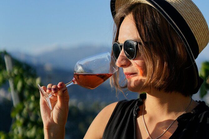 Vineyard Tour with Wine Tasting within Nice city borders - Weather check: the tour needs good conditions, but the views help