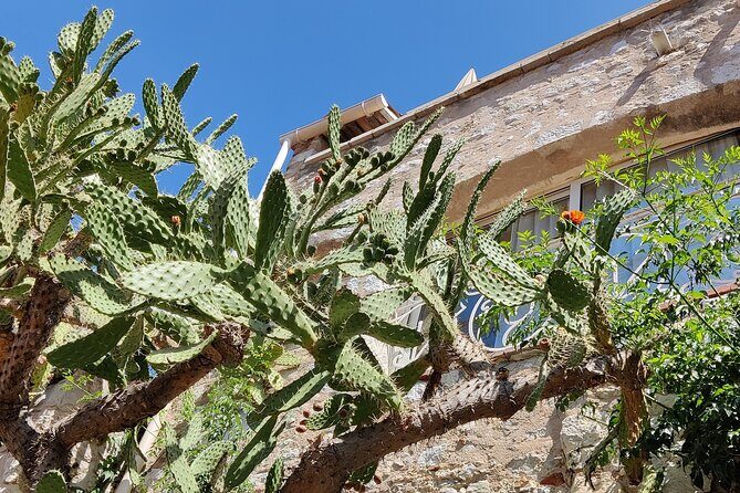 Visit of the Medieval Village of Èze - Jardin Exotique d’Èze: 400 Succulents, Cacti, and Sculpted Goddesses